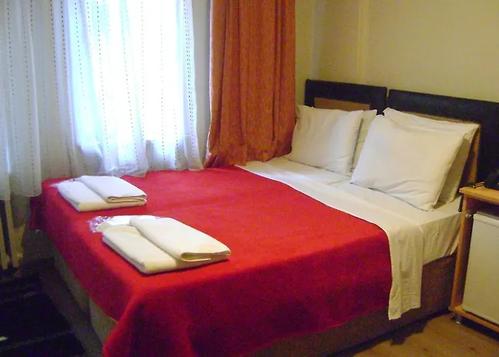 酒店 月亮酒店 3*