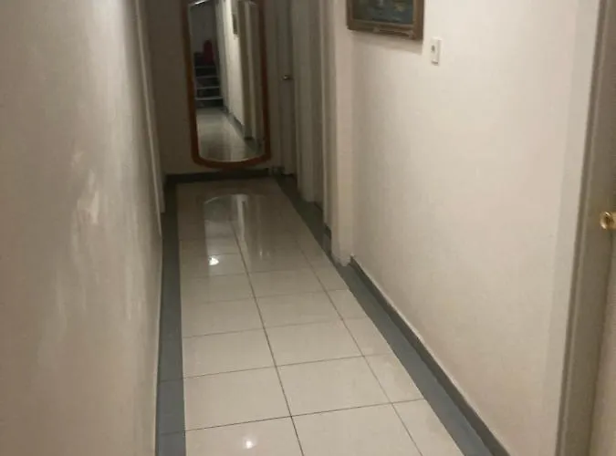 酒店 月亮酒店 3*