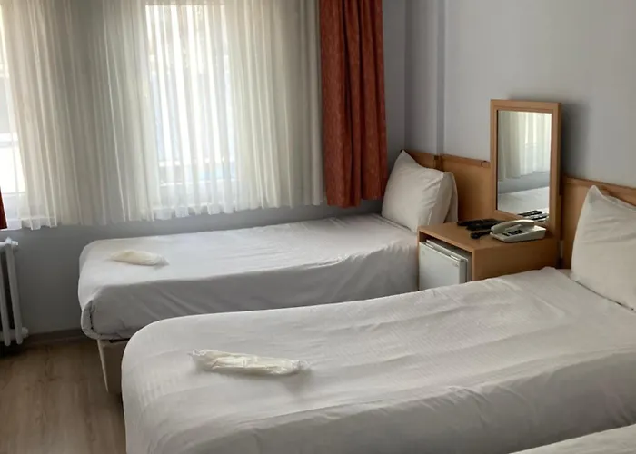 酒店 月亮酒店 3*